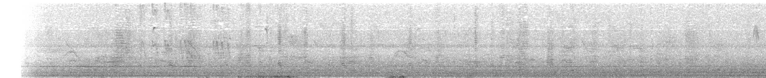 Чапля єгипетська (підвид ibis) - ML617162554