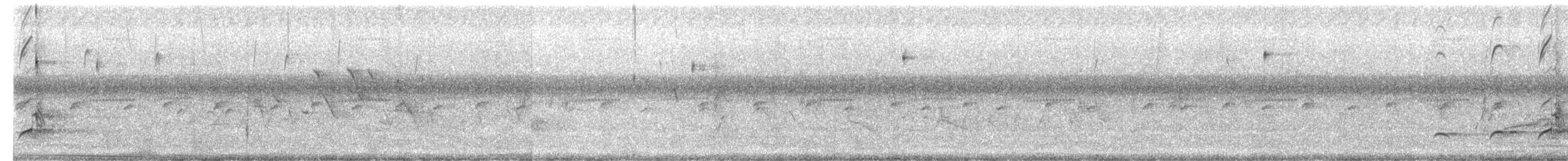 Crested Bobwhite - ML617165116