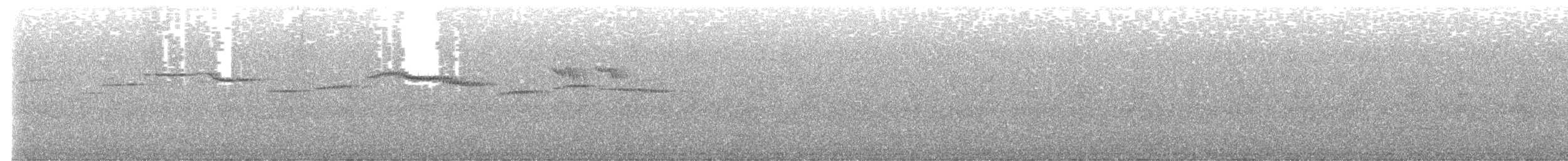 Rufous-browed Flycatcher - ML617166590