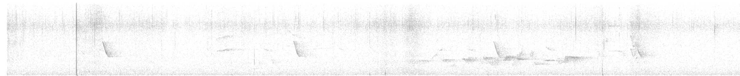 Rotschnabel-Sonnenvogel - ML617167026