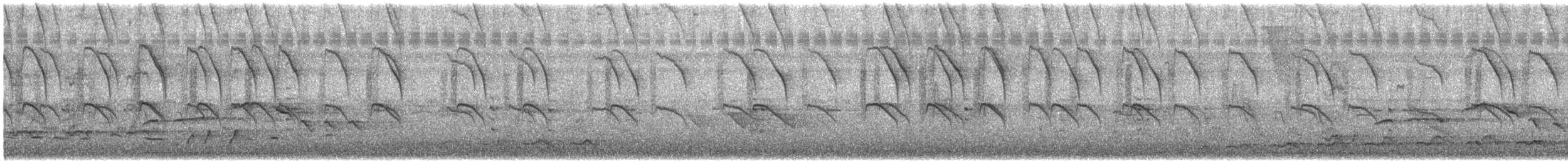 斑文鳥(nisoria群) - ML617167132