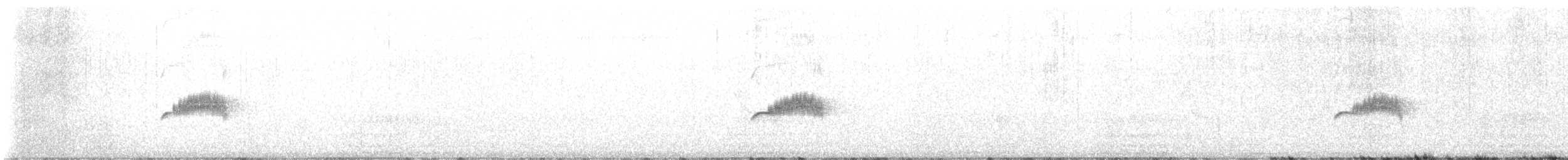 Western Wood-Pewee - ML617168573