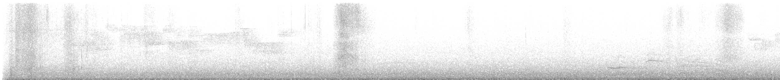 Troglodyte de Baird - ML617173173