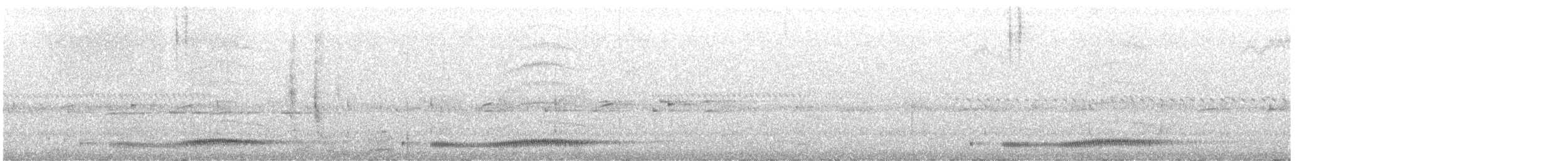 Hispaniolanachtschwalbe - ML617174331