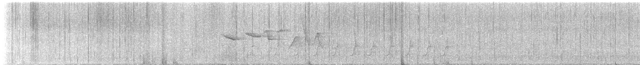 brunparula - ML617174514