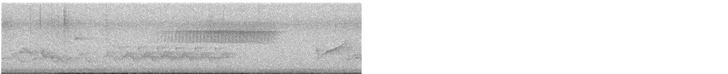 Paruline vermivore - ML617176627