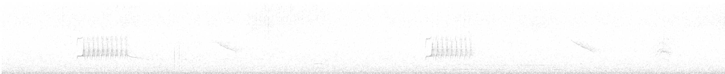 Çizgili Sinek Tiranı - ML617176760