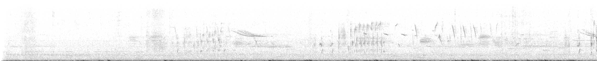 Troglodyte des marais - ML617178082