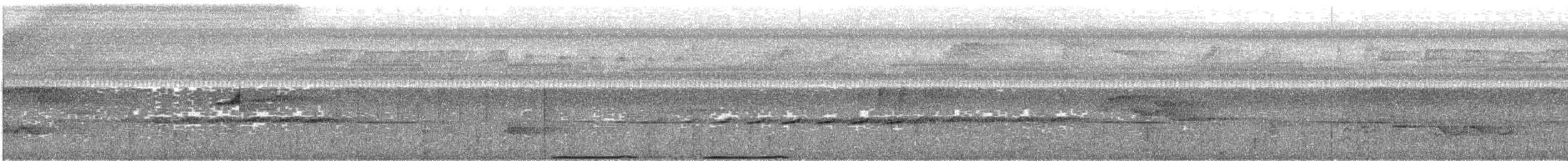 holub pásochvostý - ML617180568