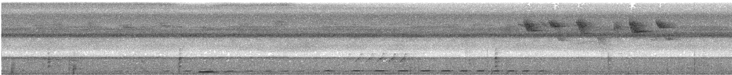 holub ametystový - ML617180867