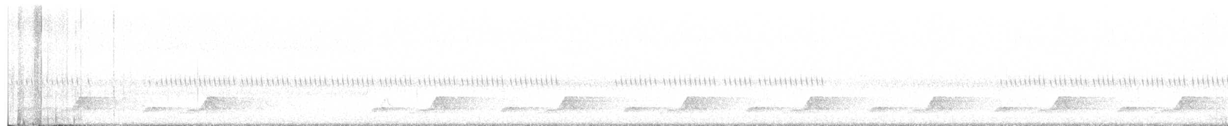 Schwarzkehl-Nachtschwalbe - ML617181102
