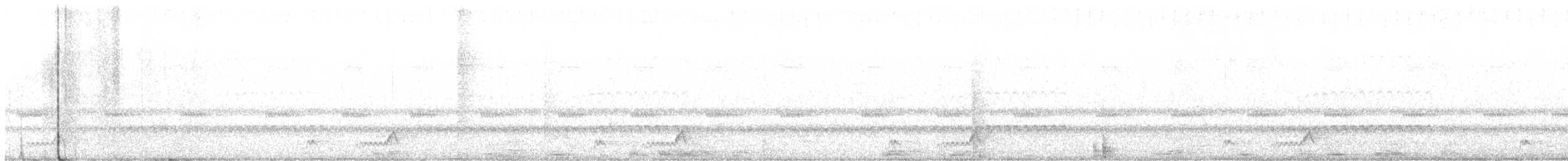 Mexikonachtschwalbe - ML617181195