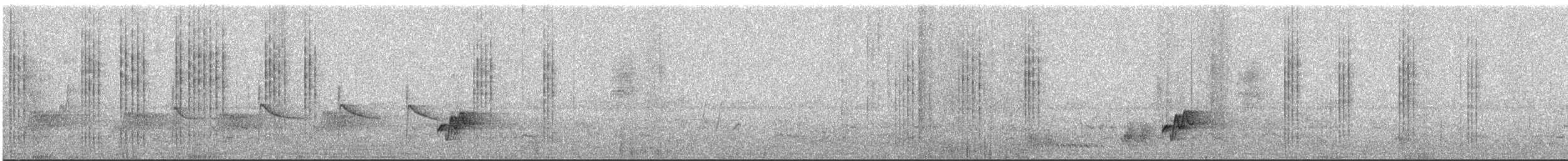 Troglodyte bridé - ML617182165