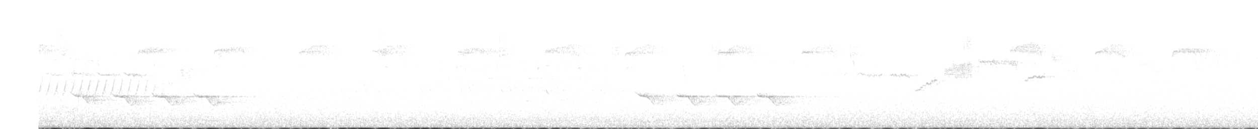 Paruline à gorge noire - ML617183491
