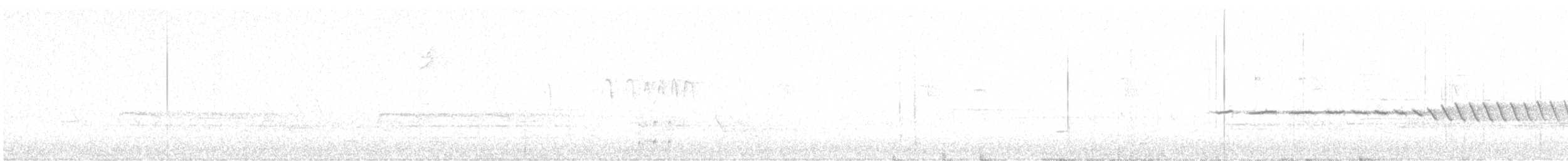 Желтобрюхий дятел-сокоед - ML617185559