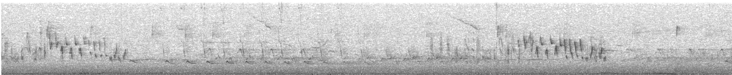 Northern House Wren - ML617185920