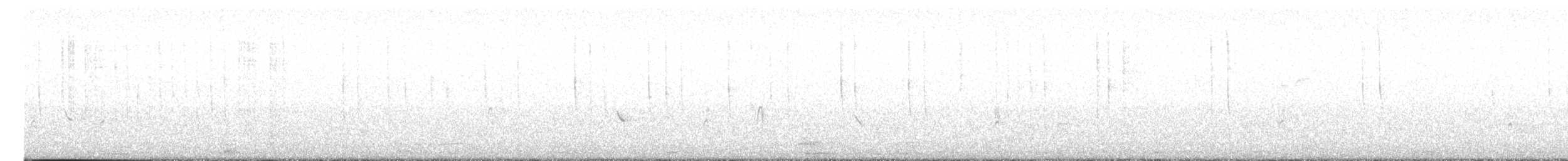 Colibri à oreilles blanches - ML617186648