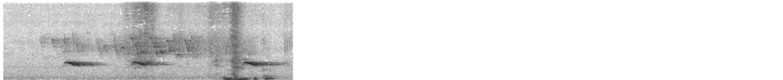 Zorzal Cuelliblanco Norteño - ML617186833