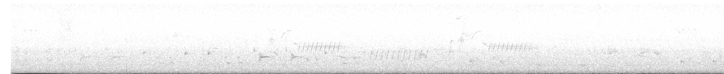 Cuitlacoche Ocelado - ML617187016