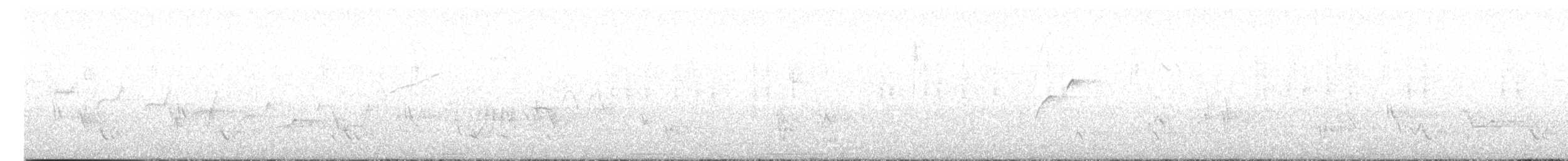 Cuitlacoche Ocelado - ML617187374