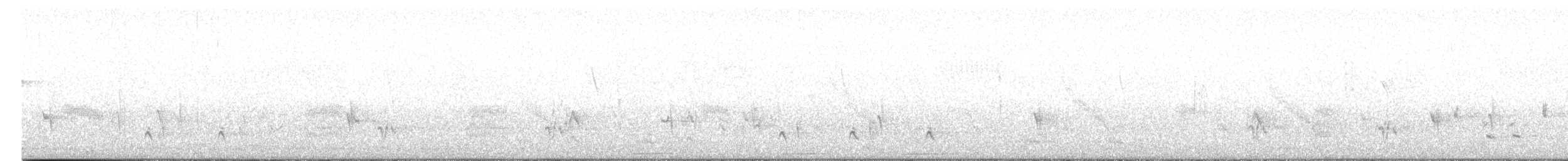 Cuitlacoche Ocelado - ML617187455