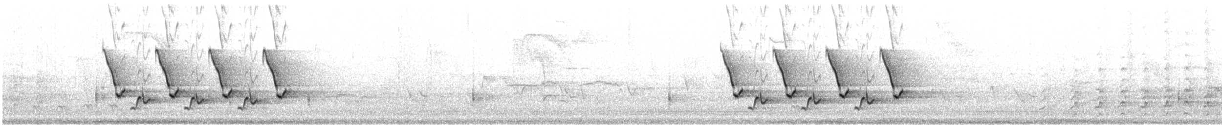 Каролинский крапивник - ML617190131