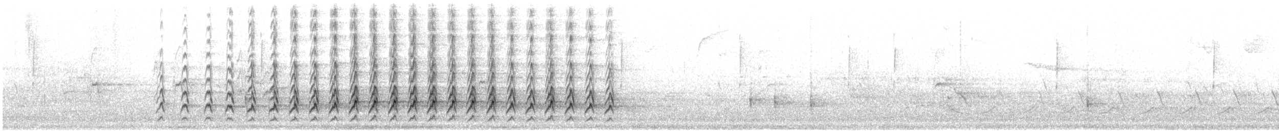 Шилоклювый дятел (auratus/luteus) - ML617190148