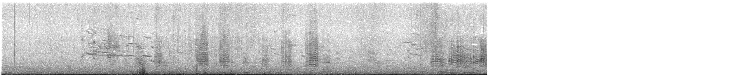 Сула атлантична - ML617193204