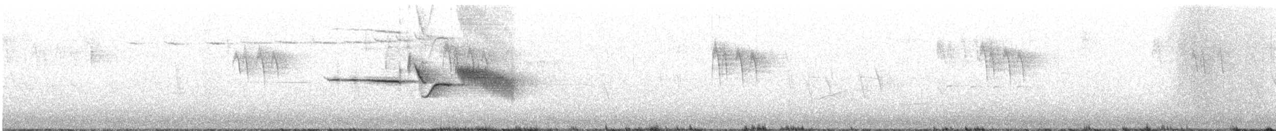 Белобровая овсянка (pugetensis) - ML617193362