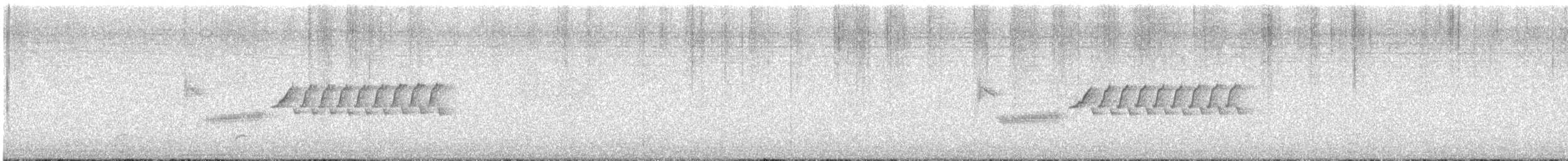 Bewick Çıtkuşu - ML617194612