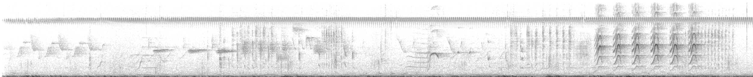 אנפית-גמדית אמריקנית - ML617195953