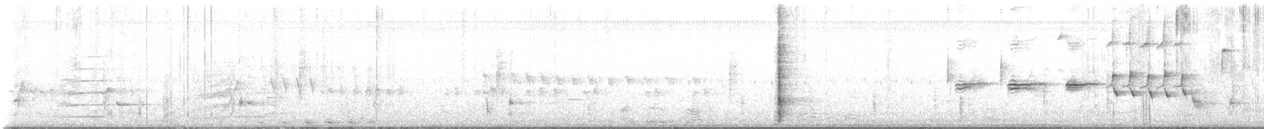 אנפית-גמדית אמריקנית - ML617195983