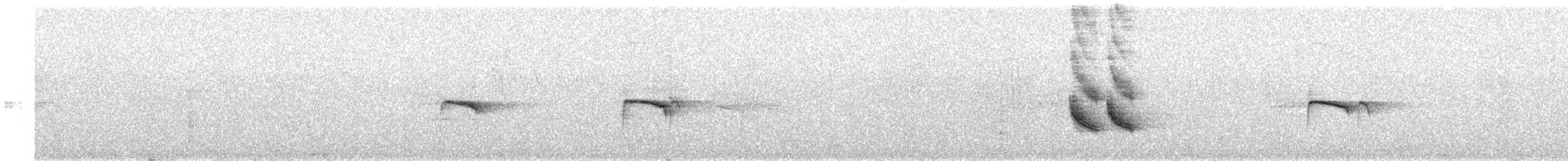 Tumbesschnäppertyrann - ML617196811