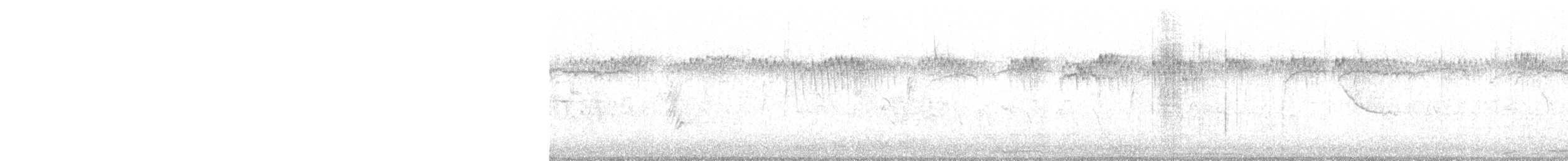 ציצנית אמריקנית - ML617196896