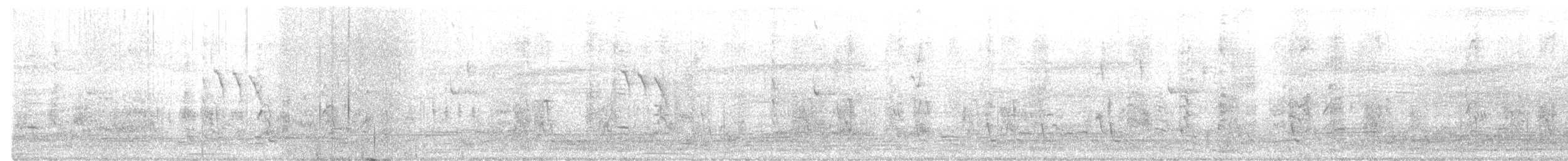 Tricolored Blackbird - ML617197402