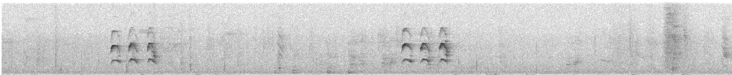 Olivgrau-Ameisenvogel - ML617197903