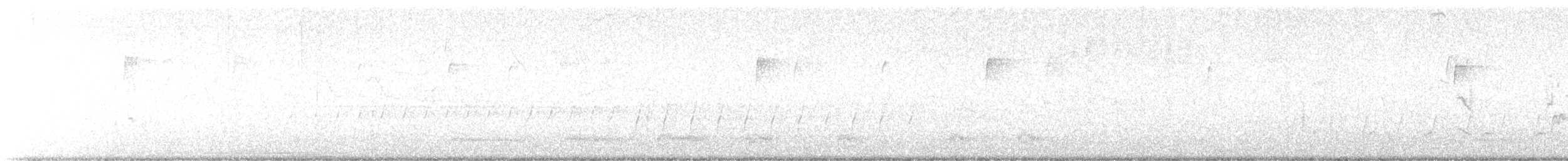 Белолобая ласточка [группа pyrrhonota] - ML617198565