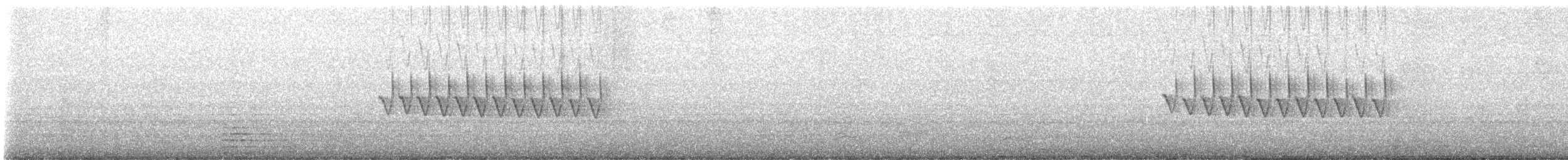 strnadec zimní [skupina oreganus] - ML617198701