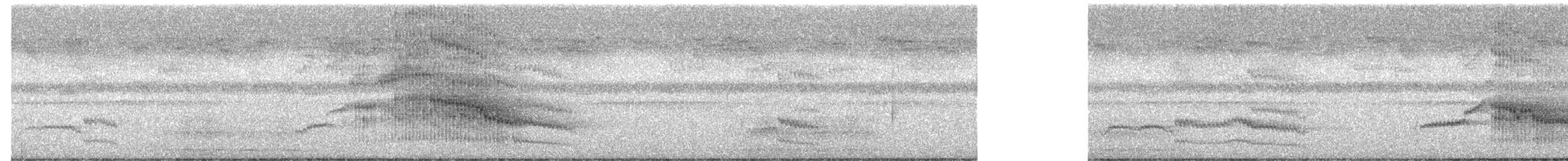 Сипуха темно-бура - ML617199148