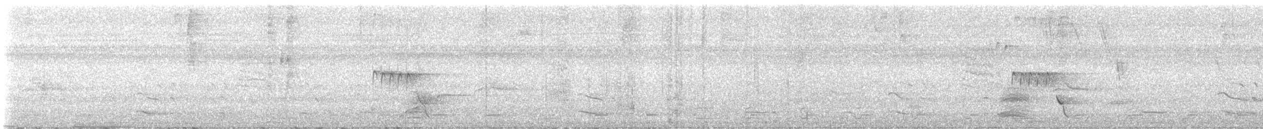 Troglodyte à calotte noire - ML617200985