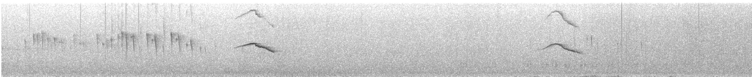 Красношейный толстонос - ML617201003