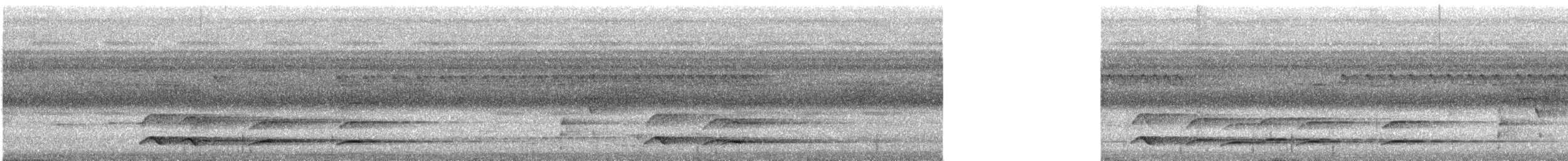 Black-necked Aracari - ML617201083