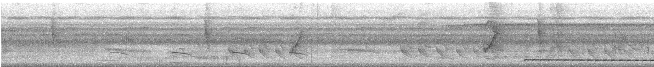 Sclater's Antwren - ML617201111