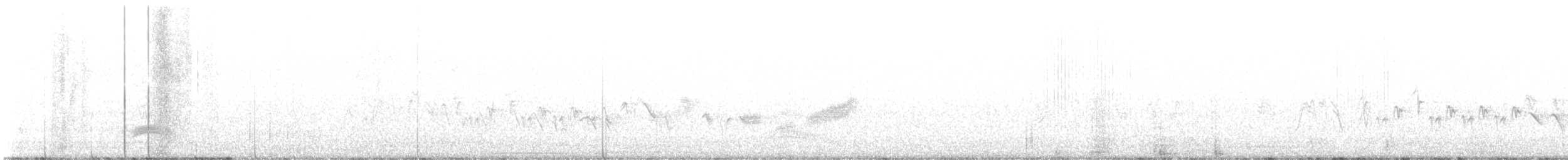 Серогрудый тиранн - ML617202055