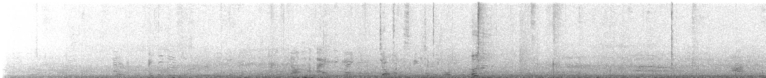 Plumbeous Vireo - ML617205015