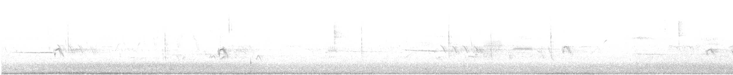Evening Grosbeak (type 4) - ML617206109