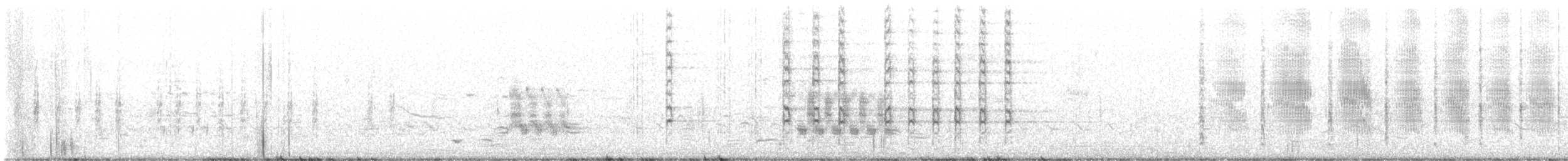 Bootschwanzgrackel - ML617208413