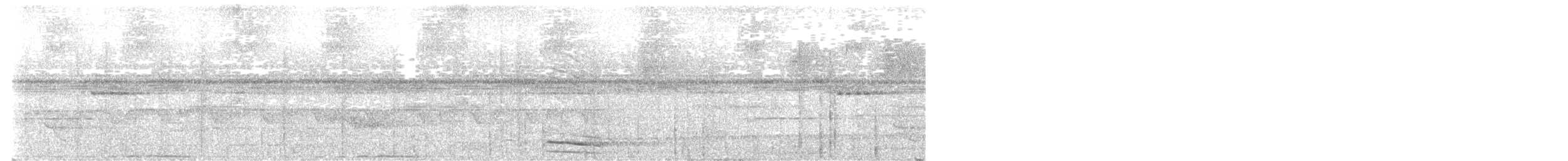 Oniki Telli Cennetkuşu - ML617211152