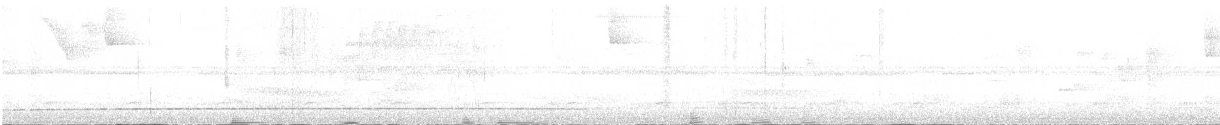 Пестрогорлый колибри-отшельник - ML617211465
