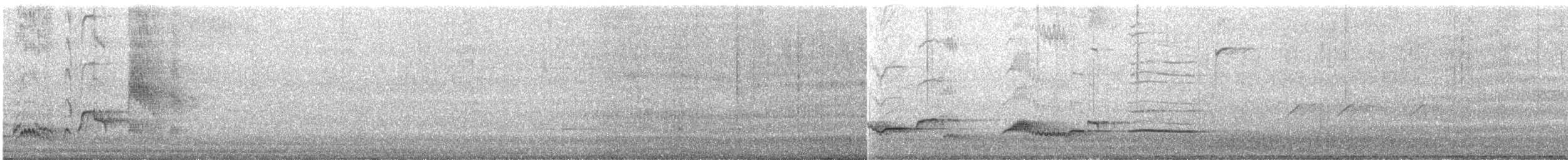 Eurasian Blackbird - ML617212942